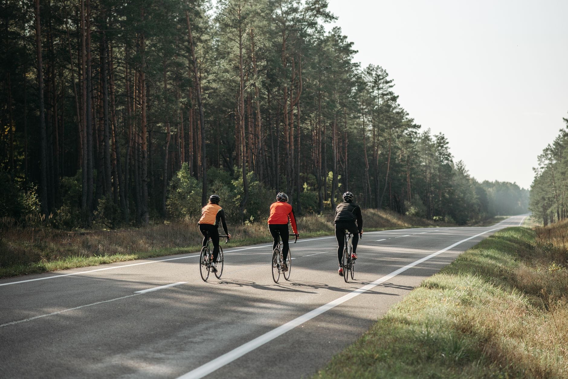 Trzech rowerzystów jedzie leśną drogą w jesiennym słońcu pod Warszawą